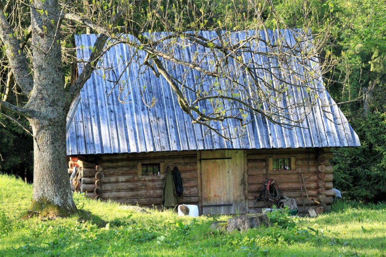 Willa U Stachoniow Zakopane Exterior foto